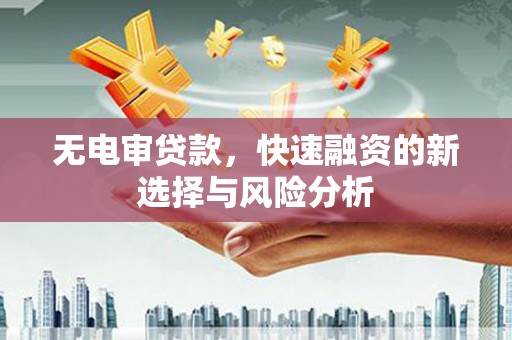 灵武无电审贷款，快速融资的新选择与风险分析