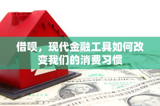 六龟借呗，现代金融工具如何改变我们的消费习惯