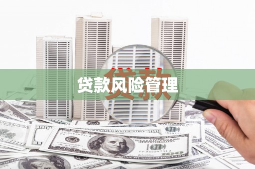 永修贷款风险管理