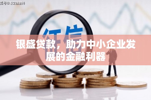 贵德银盛贷款，助力中小企业发展的金融利器
