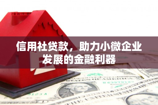 思南信用社贷款，助力小微企业发展的金融利器
