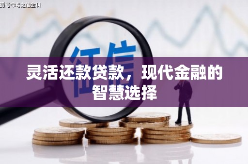 嘉定灵活还款贷款，现代金融的智慧选择