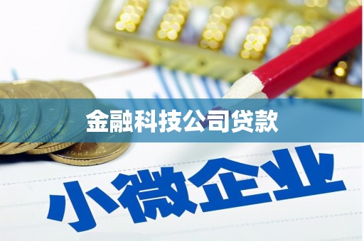 阜沙金融科技公司贷款