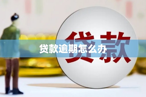 赤水贷款逾期怎么办