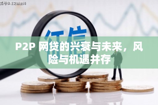 友好P2P 网贷的兴衰与未来，风险与机遇并存
