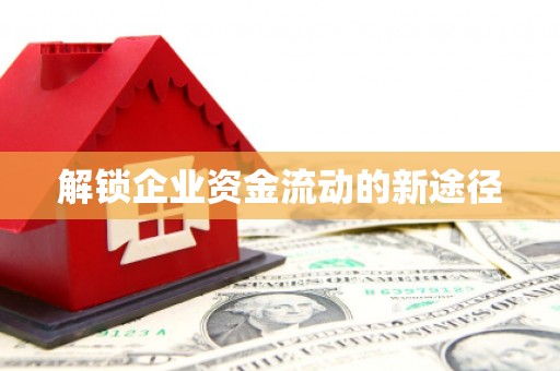 岱岳解锁企业资金流动的新途径
