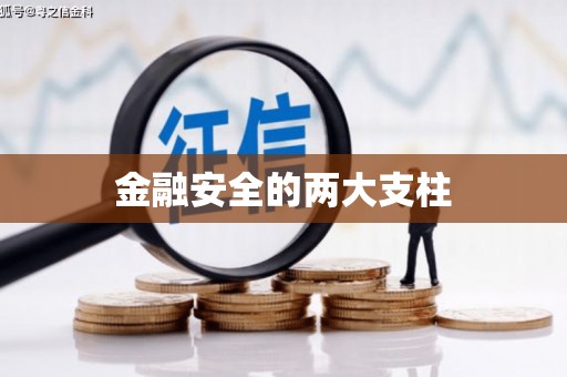 左云金融安全的两大支柱