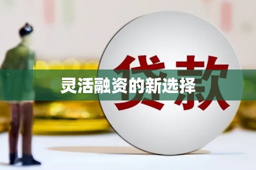 云浮灵活融资的新选择