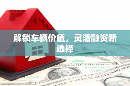 秀洲解锁车辆价值，灵活融资新选择