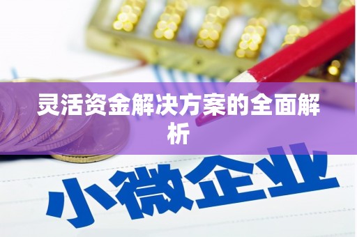 秀屿灵活资金解决方案的全面解析