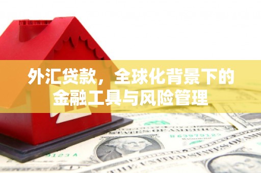 威宁外汇贷款，全球化背景下的金融工具与风险管理